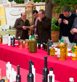 La producción ecológica en el olivar, los aceites de calidad y la cata, a debate en Castellón