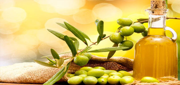 El aceite de oliva fue el producto exportado con mayor crecimiento de Andalucía en 2016