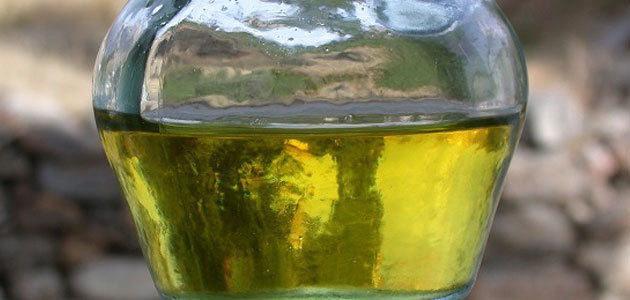 La UE estima que cerca del 20% del aceite de oliva importado es ecológico