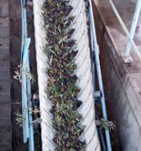 Asaja-Jaén confirma un enlace normal de campaña