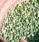 Finaliza el plazo para contratar los módulos del seguro de olivar que cubren la sequía