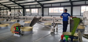 Un proyecto se centrará en la reutilización y reducción de aguas residuales durante el proceso de elaboración de aceitunas de mesa