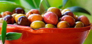 Impulsan la gestión sostenible de los residuos de la industria olivícola de Perú