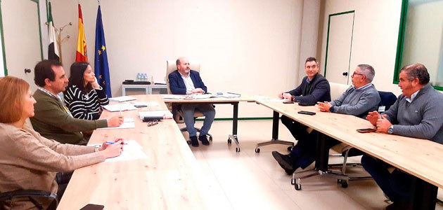 La Junta de Extremadura traslada al sector las acciones que estudia para apoyar a la aceituna de mesa