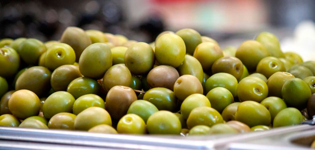 La cosecha de aceituna de mesa en Extremadura podría reducirse un 40%