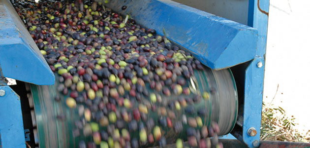 Cooperativas Agro-alimentarias traslada a la Junta de Andalucía las necesidades energéticas de las cooperativas