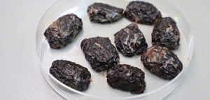 En busca de un snack alimentario con potencial probiótico a partir de aceitunas tiernizadas