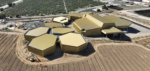 Acesur y su almazara de Jabalquinto: cuna viva de la cultura del aceite de oliva