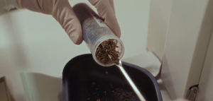 BIOOLE-UP impulsa una nueva biorrefinería para transformar la hoja de olivo en compuestos con potencial terapéutico