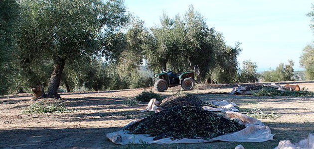 Los agricultores tendrán reducciones fiscales excepcionales por la adquisición de gasóleo y fertilizantes