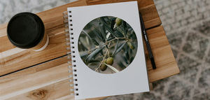 Agenda 2026: las ferias, eventos y citas de interés para el sector oleícola