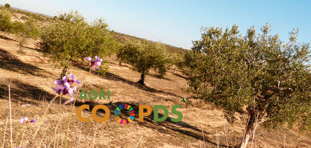 Nace AgriCOOPDS, una nueva iniciativa para promover el cooperativismo agrario