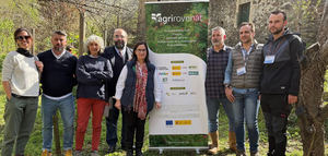 Ensayan con ovejas y un robot técnicas para conservar la cubierta vegetal en el olivar gallego