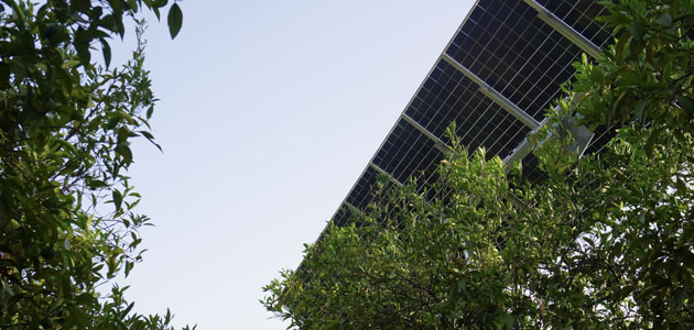 GO Agrivoltaica And: agricultores conocen una experiencia piloto de combinar agricultura y energía solar