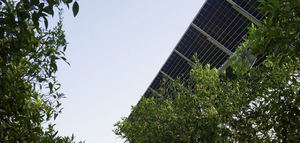 GO Agrivoltaica And: agricultores conocen una experiencia piloto de combinar agricultura y energía solar