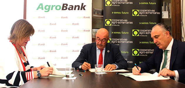 Acuerdo entre CaixaBank y Cooperativas Agro-alimentarias de Andalucía para financiar la modernización del olivar