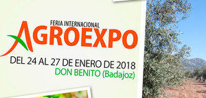 Agroexpo acoge el 25 de enero la Jornada Olivar Superintensivo 