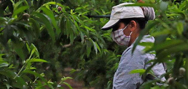 Agroexpo analizará el papel de la mujer en el sector agrario