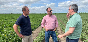 El GO AgroFert impulsa un bioestimulante para reducir el uso de fertilizantes químicos y mejorar la sostenibilidad