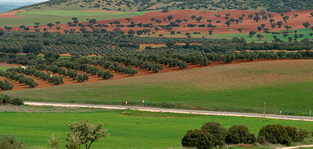 Nace 'AgroGreen', un proyecto internacional para mejorar la sostenibilidad de la agricultura