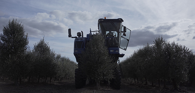 La senda del azar: un documental sobre la mayor revolución agrícola