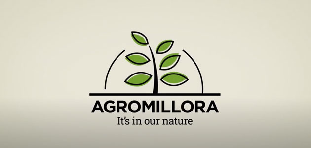 Agromillora presenta las nuevas variedades del olivar en seto en su formato de conferencias on line