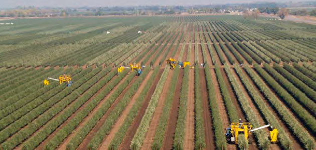 El sector ibérico de fincas rústicas, un activo refugio resiliente
