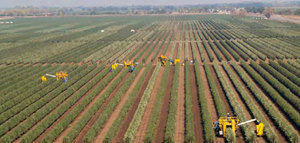 El sector ibérico de fincas rústicas, un activo refugio resiliente