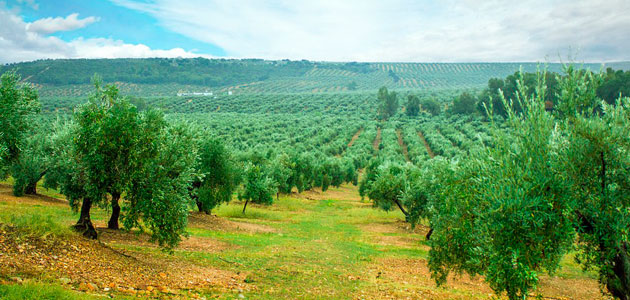 AGROS o cómo mejorar el conocimiento e innovación en agricultura sostenible