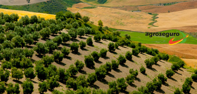 Agroseguro nombra nuevos directores territoriales en Andalucía y Extremadura