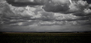 Agroseguro recuerda que los daños registrados en el campo a causa de la DANA están cubiertos por el seguro agrario