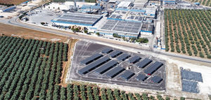 Agrosevilla alcanza una facturación récord en 2024 con un crecimiento del 19%