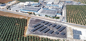 Agrosevilla consolida en 2025 unas ventas de196 millones de euros y mantiene el impulso internacional