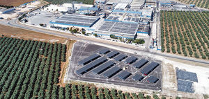 Agrosevilla compra Rioverde y refuerza su expansión en el mercado de encurtidos