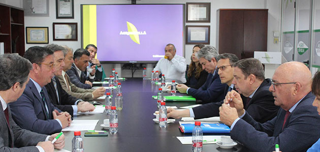 Cooperativas Agro-alimentarias de Andalucía reclama al Gobierno una hoja de ruta para velar por la competitividad de la aceituna de mesa