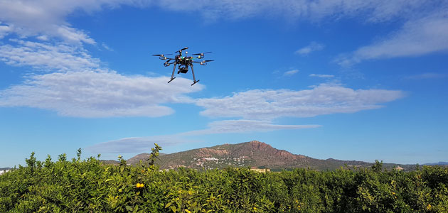Drones e inteligencia artificial para obtener mejores rendimientos en el campo