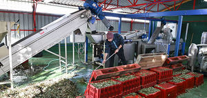 La Escuela Técnica Superior de Ingeniería Agronómica de la UPM estrena una nueva almazara