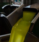 Jaén convoca una nueva línea de ayudas para mejorar la competitividad de las empresas oleícolas