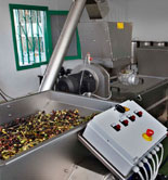 Lanzarote pone en funcionamiento la primera almazara de la isla para la producción de aceite de oliva virgen