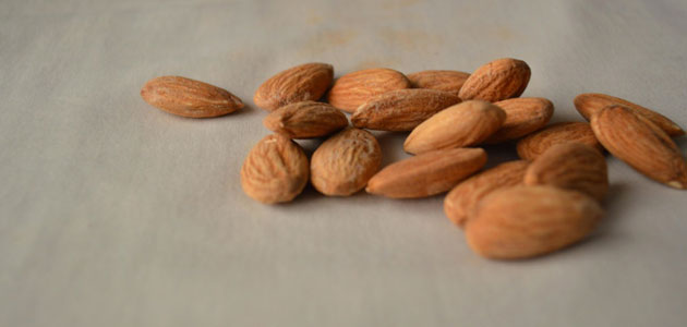 El sector de frutos secos sitúa la previsión de cosecha de almendra en 125.000 t. esta campaña