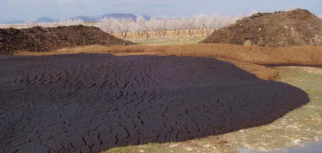 Extraer compuestos fenólicos del alperujo con disolventes ecológicos