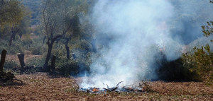 Andalucía prolonga la prohibición de las quemas agrícolas para prevenir incendios forestales