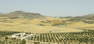 Nace Oleomontilla, una refineria de aceite de orujo de oliva en Córdoba