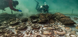 Descubren un cargamento romano con ánforas de aceite de oliva en el fondo de un lago suizo