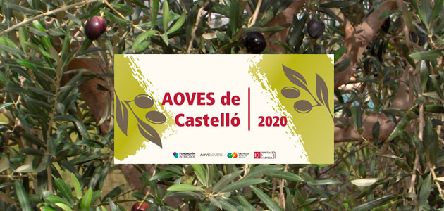 Editan una guía para promocionar el consumo de AOVE de Castellón