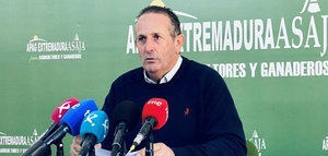 Reclaman más vigilancia en la última etapa de la campaña de recolección de la aceituna en Extremadura