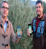 'Mi cosecha', una innovadora app para controlar el proceso de recogida de la aceituna