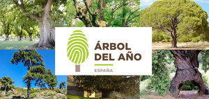El MAPA y Bosques Sin Fronteras convocan el premio "Árbol del Año 2019"