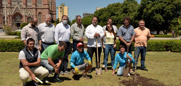 Argentina impulsa el programa 'Planta un Olivo'