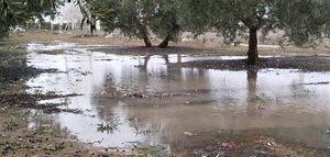 Medidas y acciones para paliar los daños por las tormentas en Castilla-La Mancha
